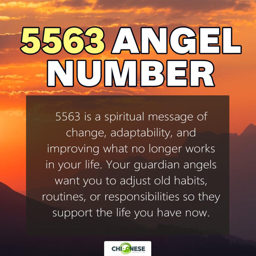 5563 angel number
