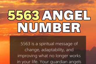 5563 angel number