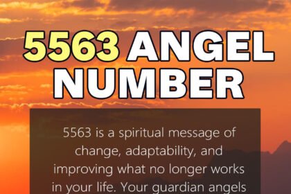 5563 angel number