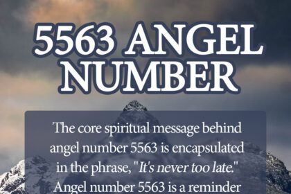 Angel number 5563