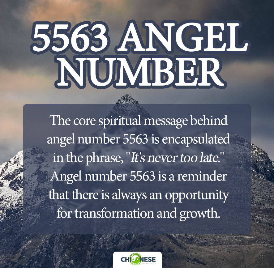 Angel number 5563