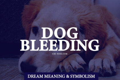 dream about dog bleeding