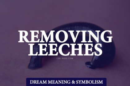 dream about removing leeches