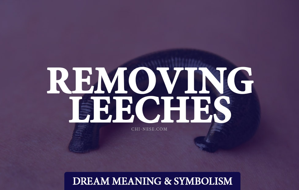 dream about removing leeches