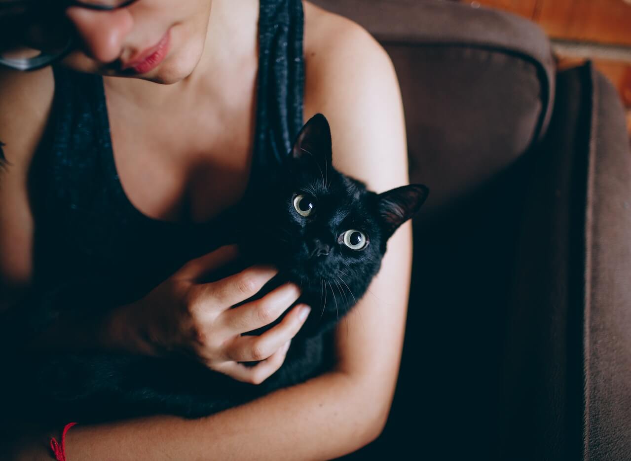 zodiac signs that love animals more than people