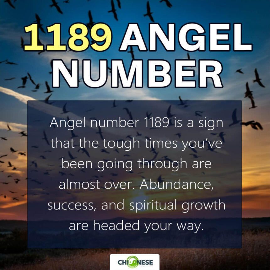 1189 angel number