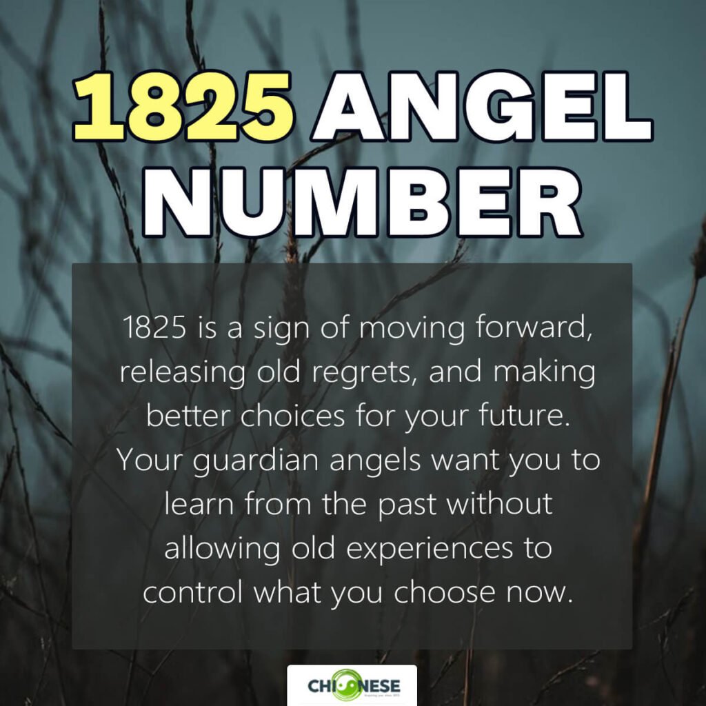 1825 angel number