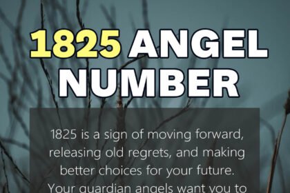 1825 angel number
