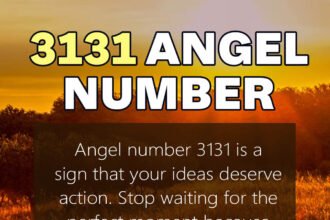 3131 angel number