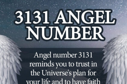3131 angel number