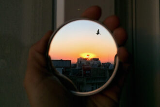spiritual meaning of a bird hitting the window