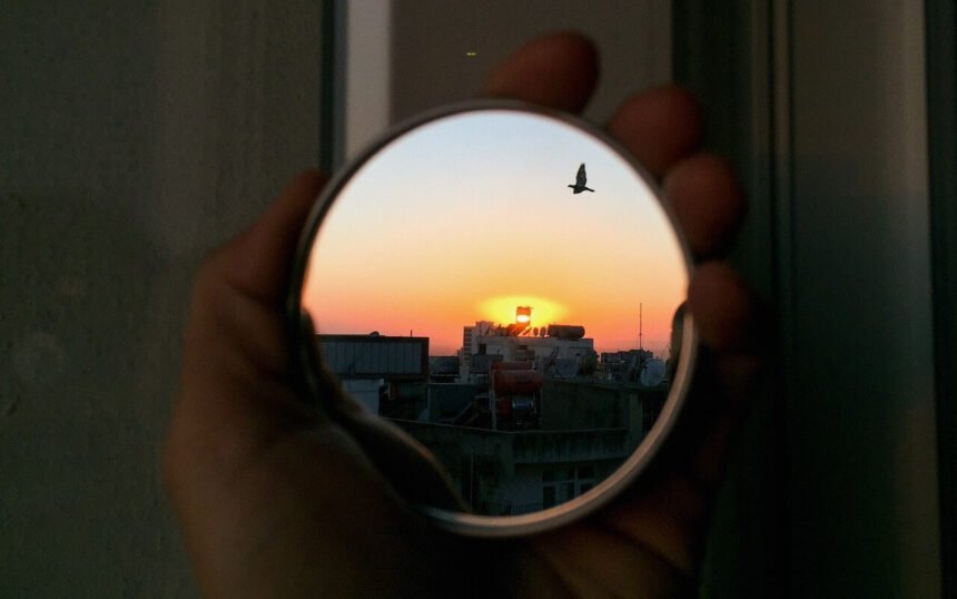 spiritual meaning of a bird hitting the window