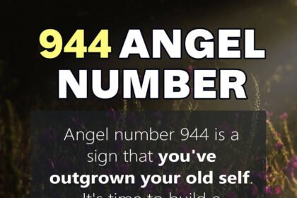 944 angel number
