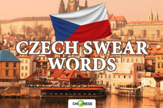 czech swear words