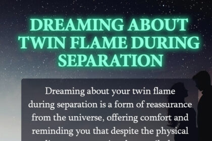 dreaming about twin flame during separation