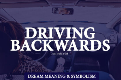 driving backwards in a dream