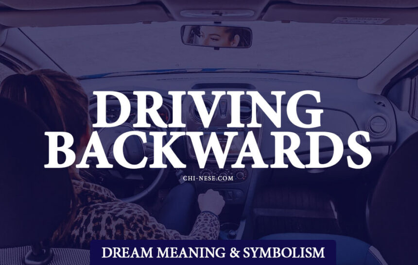 driving backwards in a dream