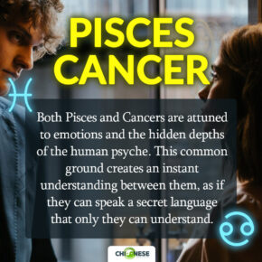 why are pisces so attracted to cancer