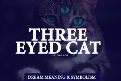 three eyed cat meaning