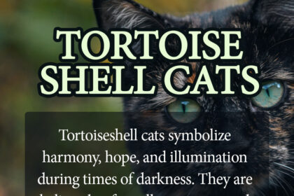 tortoiseshell cat spiritual meaning