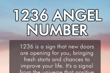 1236 angel number