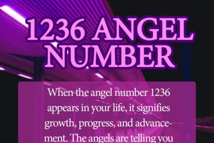 1236 angel number