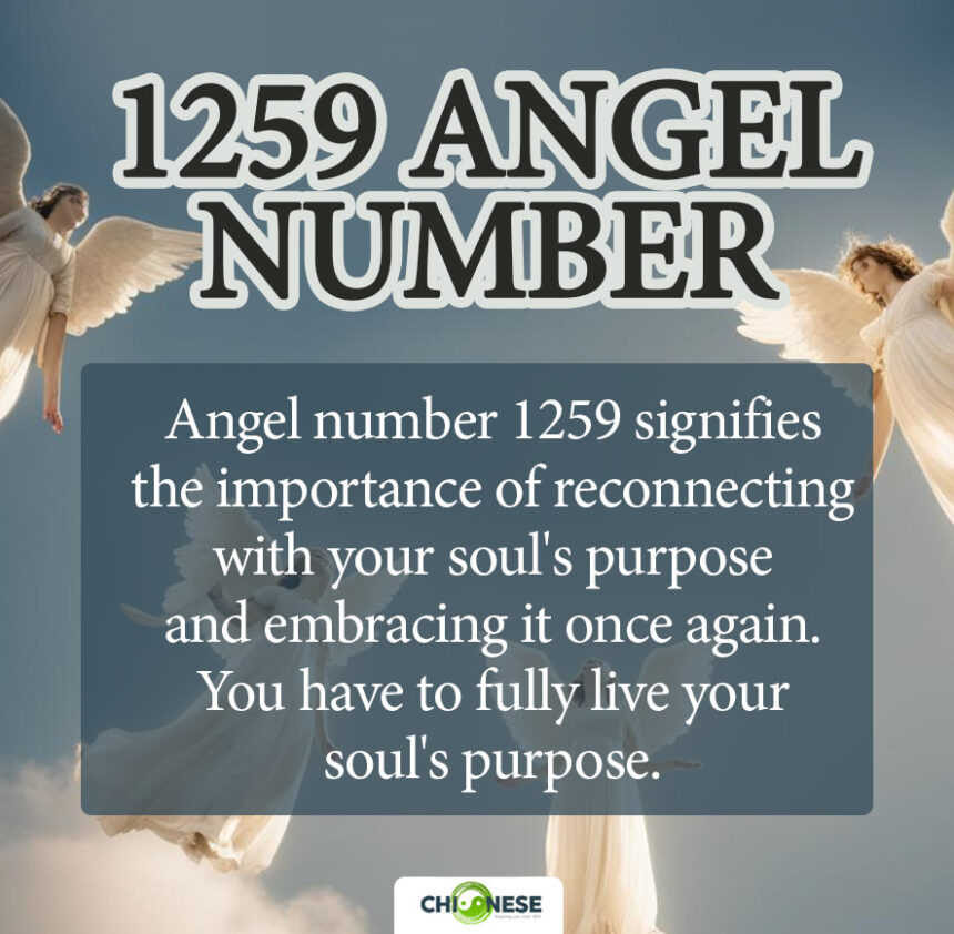 1259 angel number