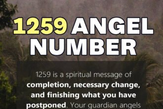 1259 angel number