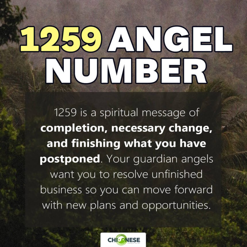 1259 angel number
