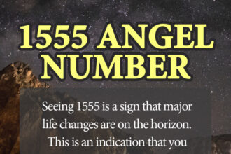 1555 angel number