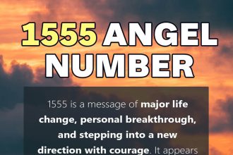 1555 angel number