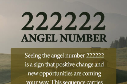 222222 angel number