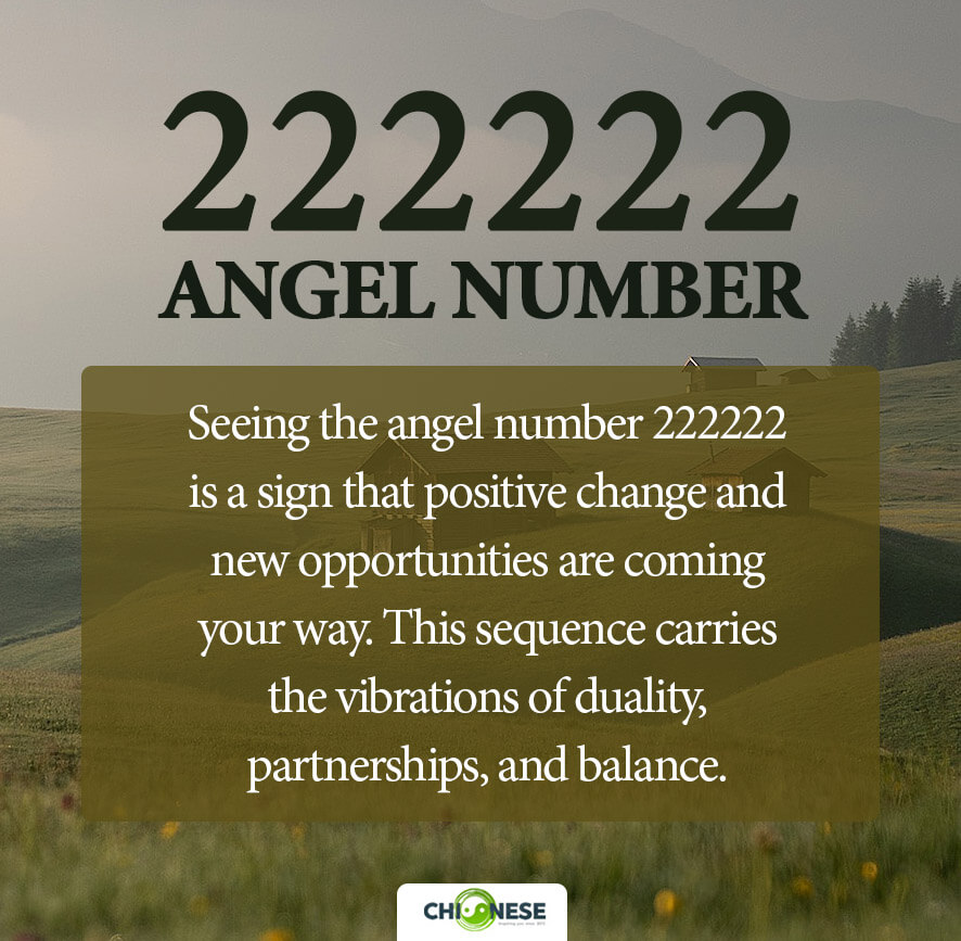 222222 angel number