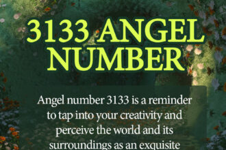 3133 angel number