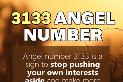 3133 angel number