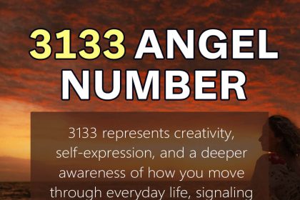 3133 angel number