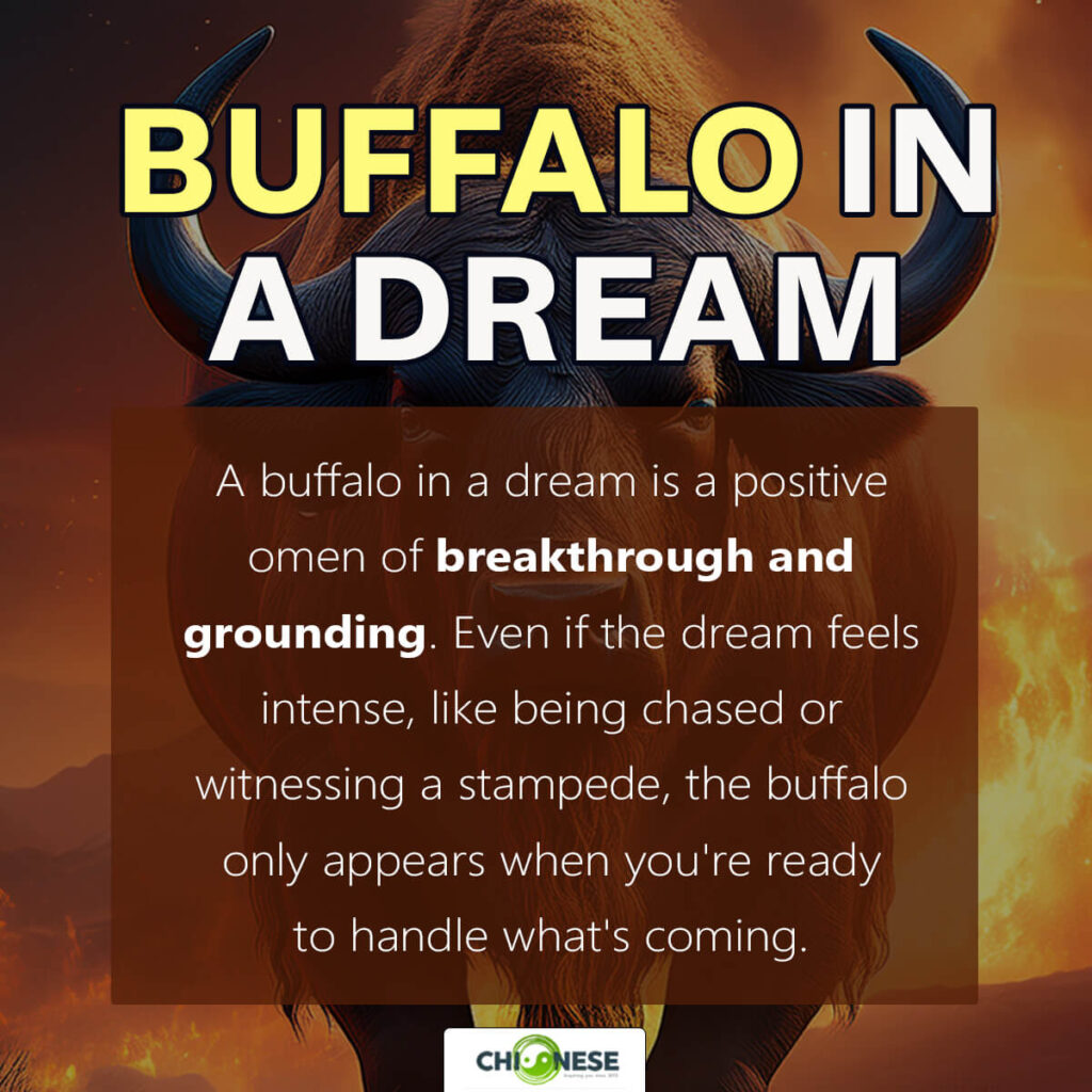 buffalo in dream meaning