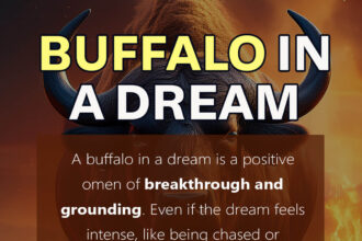 buffalo in dream meaning