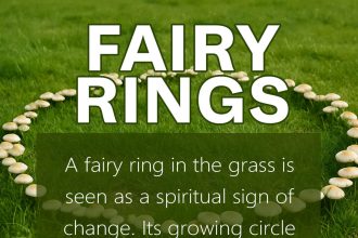 fairy rings in grass spiritual meaning