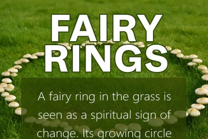 fairy rings in grass spiritual meaning