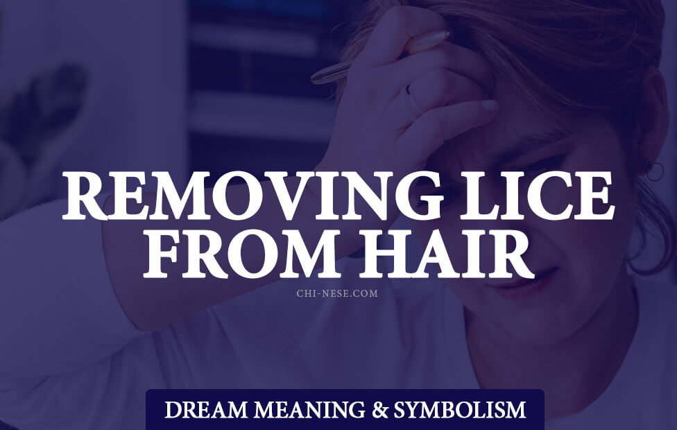 removing lice from hair in dream meaning