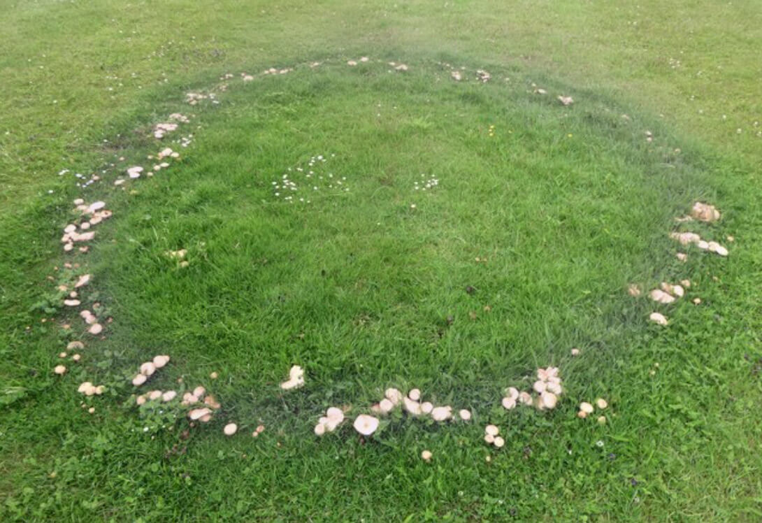 spiritual meaning of fairy rings in grass