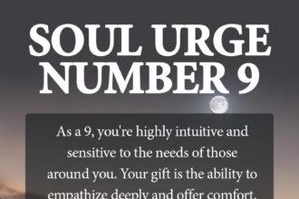 soul urge number 9