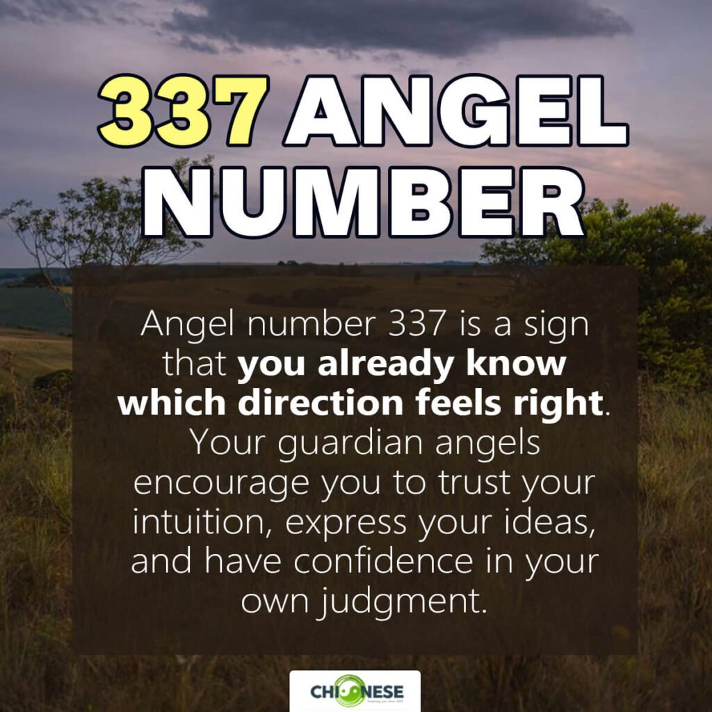 337 angel number