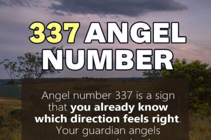 337 angel number