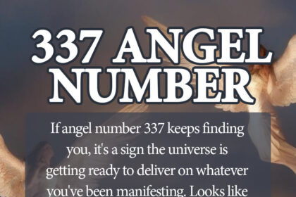 337 angel number