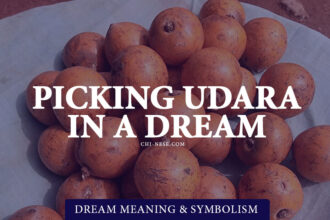 dream about picking udara