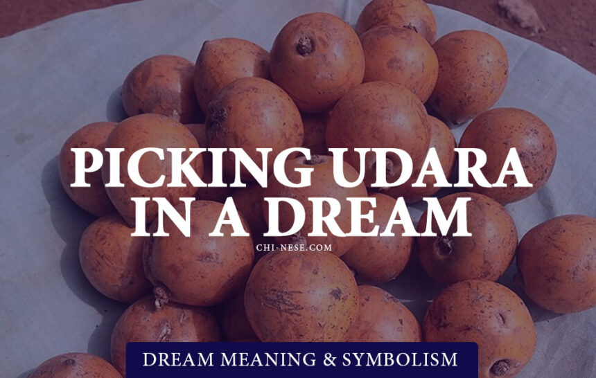 dream about picking udara