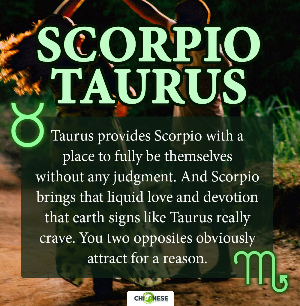 scorpio taurus compatibility