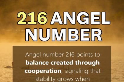 216 angel number